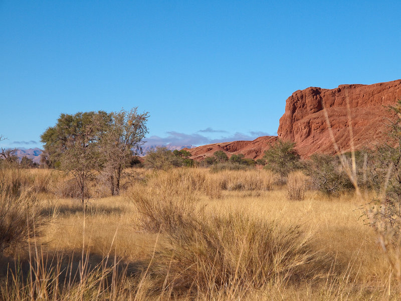 Namib Desert Lodge